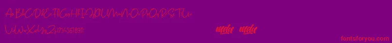 Salmon Script   FREE PERSONAL USE Font – Red Fonts on Purple Background