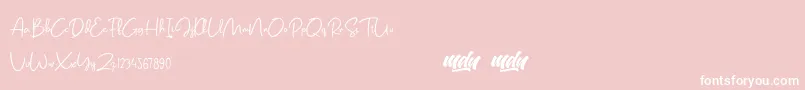 Salmon Script   FREE PERSONAL USE-Schriftart – Weiße Schriften auf rosa Hintergrund