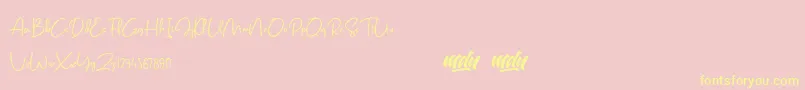 Salmon Script   FREE PERSONAL USE-Schriftart – Gelbe Schriften auf rosa Hintergrund