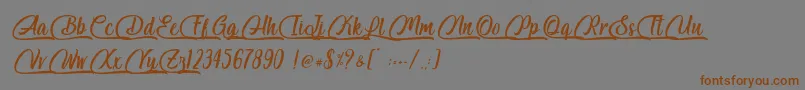 フォントSalmon White   Personal Use – 茶色の文字が灰色の背景にあります。
