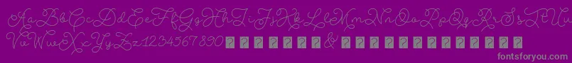 AbigailscriptdemoRegular Font – Gray Fonts on Purple Background