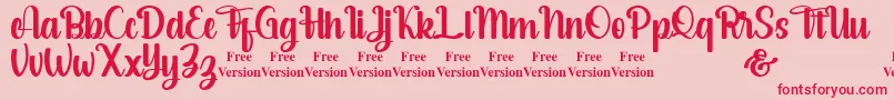 salsabella Personal Use Only Font – Red Fonts on Pink Background