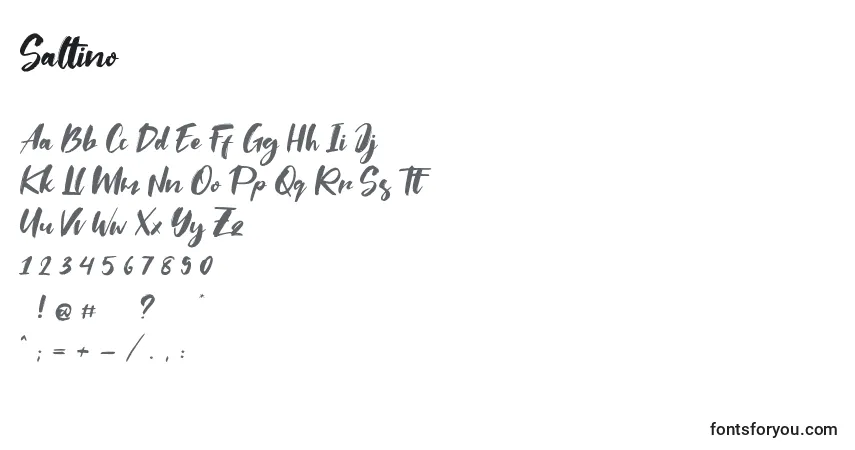 Czcionka Saltino – alfabet, cyfry, specjalne znaki