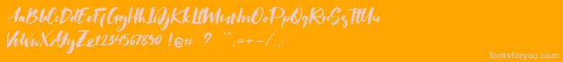 Saltino Font – Pink Fonts on Orange Background