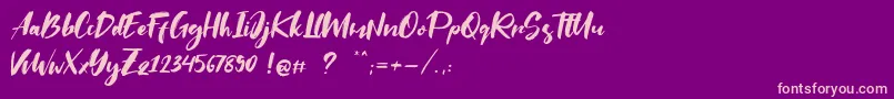 Saltino-Schriftart – Rosa Schriften auf violettem Hintergrund