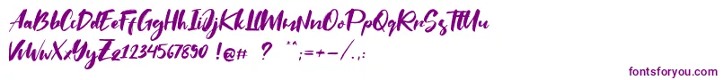 Saltino Font – Purple Fonts on White Background