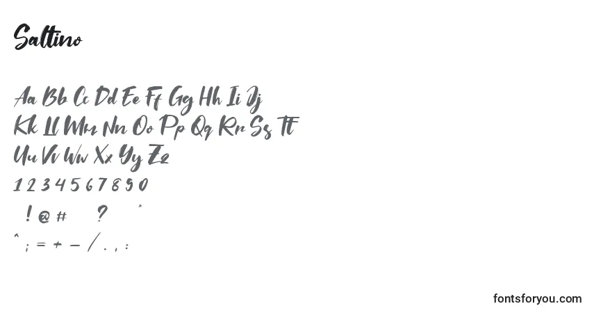 Saltino (139506)-fontti – aakkoset, numerot, erikoismerkit