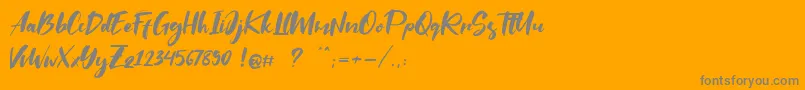 Saltino Font – Gray Fonts on Orange Background