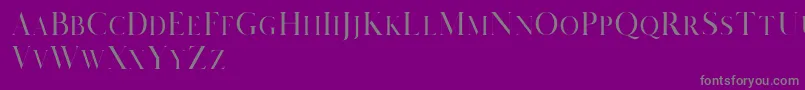 Salvalyn Demo-Schriftart – Graue Schriften auf violettem Hintergrund