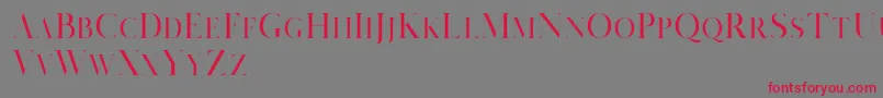 Salvalyn Demo Font – Red Fonts on Gray Background