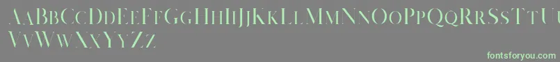 Salvalyn Demo Font – Green Fonts on Gray Background