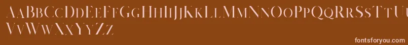 Salvalyn Demo Font – Pink Fonts on Brown Background