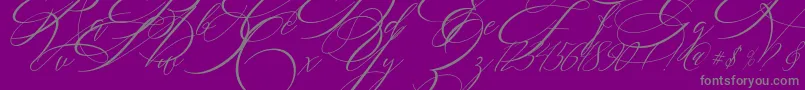 SALWOMEN Font – Gray Fonts on Purple Background