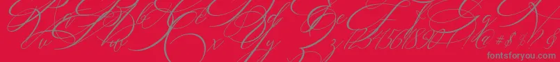 SALWOMEN Font – Gray Fonts on Red Background