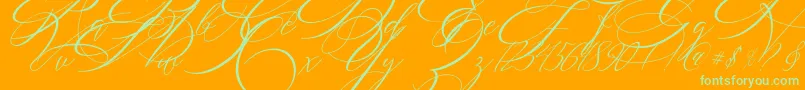 SALWOMEN Font – Green Fonts on Orange Background
