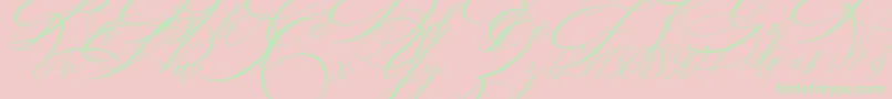 SALWOMEN Font – Green Fonts on Pink Background