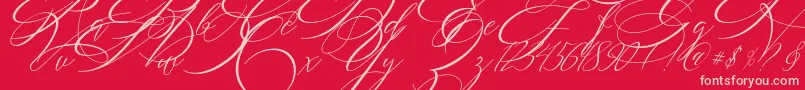 SALWOMEN Font – Pink Fonts on Red Background
