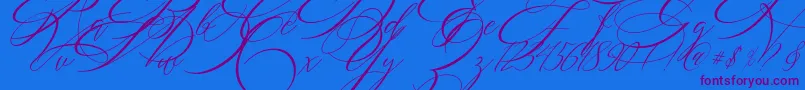 Police SALWOMEN – polices violettes sur fond bleu