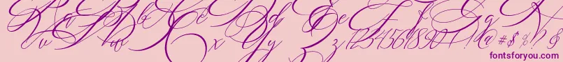 SALWOMEN-Schriftart – Violette Schriften auf rosa Hintergrund