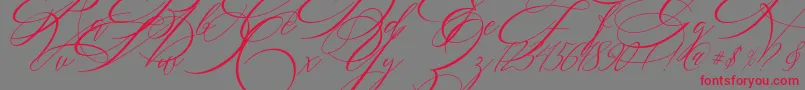 SALWOMEN Font – Red Fonts on Gray Background