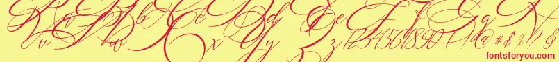 SALWOMEN-Schriftart – Rote Schriften auf gelbem Hintergrund