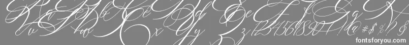 フォントSALWOMEN – 灰色の背景に白い文字