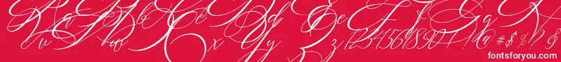 SALWOMEN-Schriftart – Weiße Schriften auf rotem Hintergrund