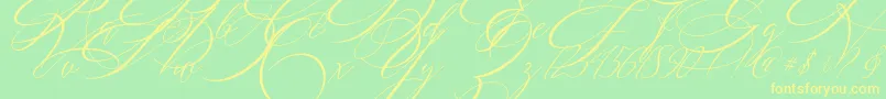 SALWOMEN Font – Yellow Fonts on Green Background