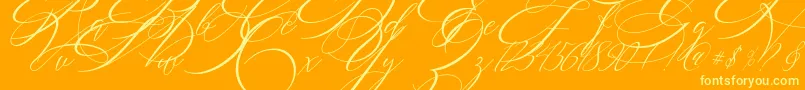 SALWOMEN Font – Yellow Fonts on Orange Background