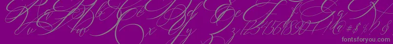 SALWOMEN Font – Gray Fonts on Purple Background