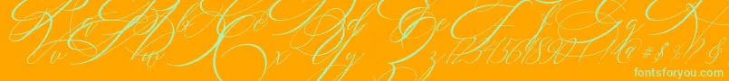 SALWOMEN Font – Green Fonts on Orange Background
