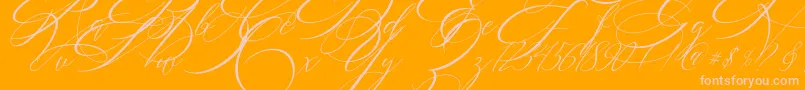 SALWOMEN-Schriftart – Rosa Schriften auf orangefarbenem Hintergrund