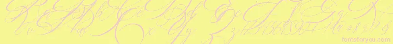 SALWOMEN-Schriftart – Rosa Schriften auf gelbem Hintergrund