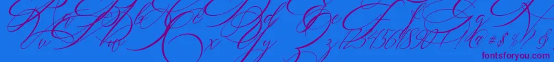 SALWOMEN Font – Purple Fonts on Blue Background
