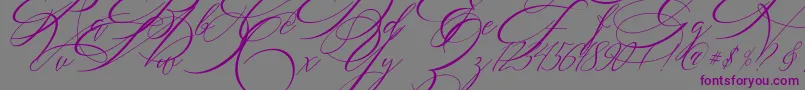 SALWOMEN Font – Purple Fonts on Gray Background