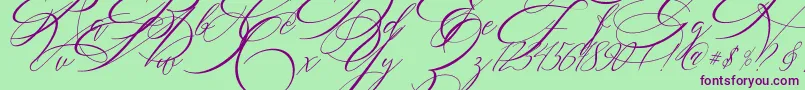 SALWOMEN Font – Purple Fonts on Green Background
