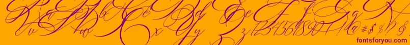 SALWOMEN Font – Purple Fonts on Orange Background