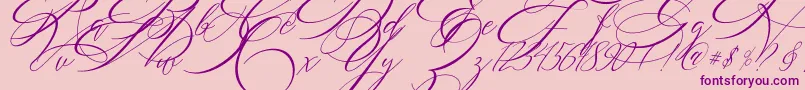 SALWOMEN Font – Purple Fonts on Pink Background