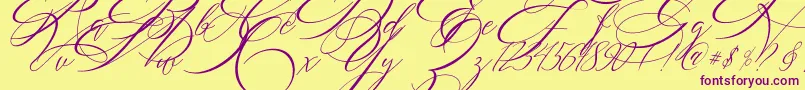 SALWOMEN Font – Purple Fonts on Yellow Background