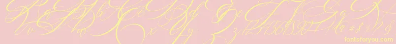 SALWOMEN-Schriftart – Gelbe Schriften auf rosa Hintergrund