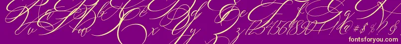 SALWOMEN-Schriftart – Gelbe Schriften auf violettem Hintergrund