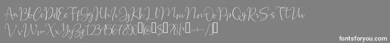 フォントsamira – 灰色の背景に白い文字