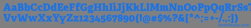 More about AdelleCyrillicExtrabold Font AdelleCyrillicExtrabold Font – Blue Fonts on Gray Background