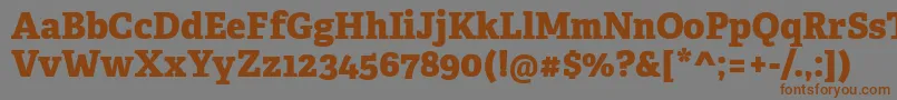 AdelleCyrillicExtraboldフォントについての詳細 フォントAdelleCyrillicExtrabold – 茶色の文字が灰色の背景にあります。