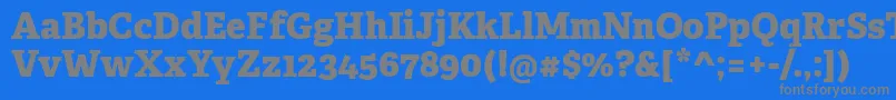 More about AdelleCyrillicExtrabold Font AdelleCyrillicExtrabold Font – Gray Fonts on Blue Background