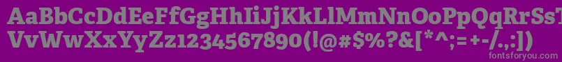 More about AdelleCyrillicExtrabold Font AdelleCyrillicExtrabold Font – Gray Fonts on Purple Background