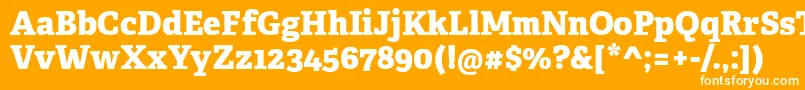 AdelleCyrillicExtrabold Font – White Fonts on Orange Background