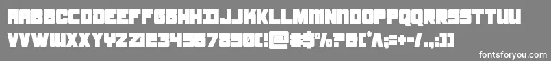 samuraiterrapincond Font – White Fonts on Gray Background