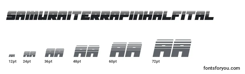 Размеры шрифта Samuraiterrapinhalfital
