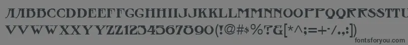 Czcionka SanasoftCass.Kz – czarne czcionki na szarym tle